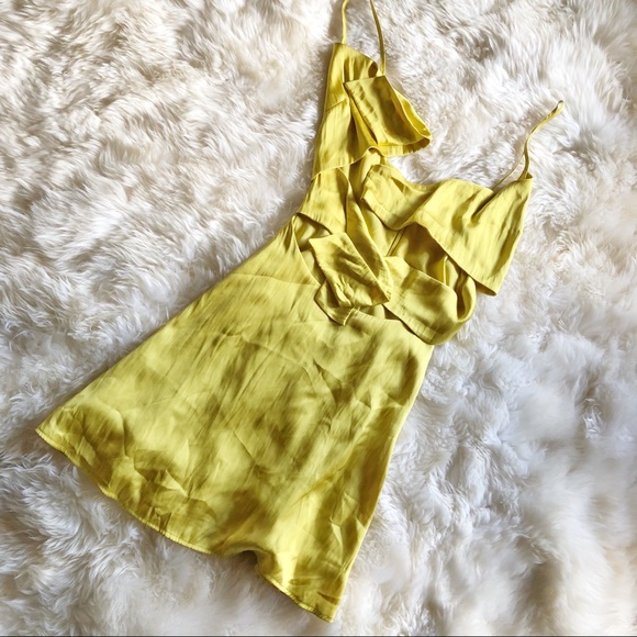 COPY - Lovers & Friends Nate Mini Dress - Picture 5 of 6